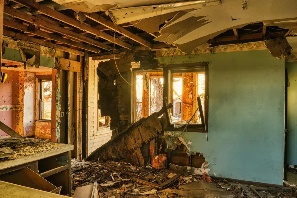 Fresno's Trusted Mold Abatement Specialists — Fresno, CA