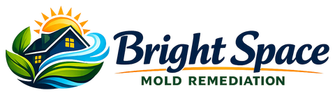 Bright Space Mold Remediation